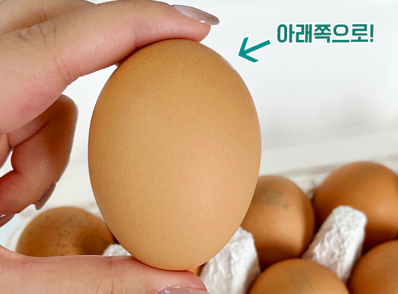 계란 보관법 꿀팁