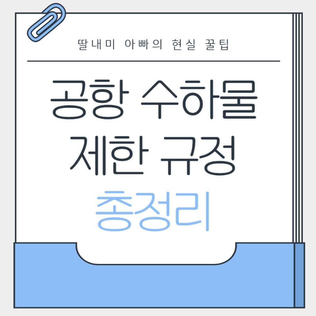 공항 수하물 제한 규정 총정리