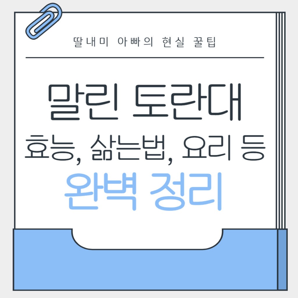 말린 토란대 효능부터 건 토란대 보관법 삶는 법 요리까지 완벽 정리