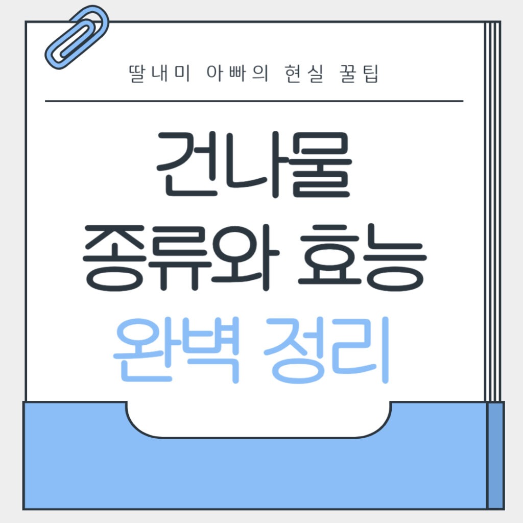 건나물 종류와 효능 완벽 정리
