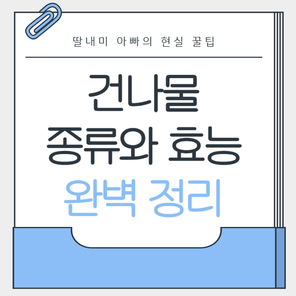 건나물 종류와 효능 완벽 정리