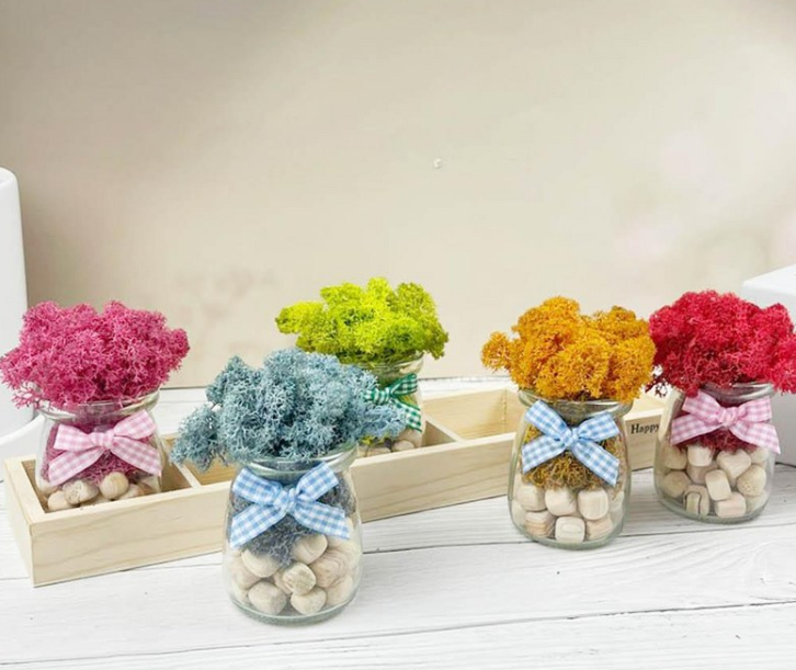 공기정화식물 디스플레이