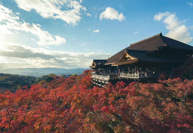 교토 기요미즈데라 (정수사)