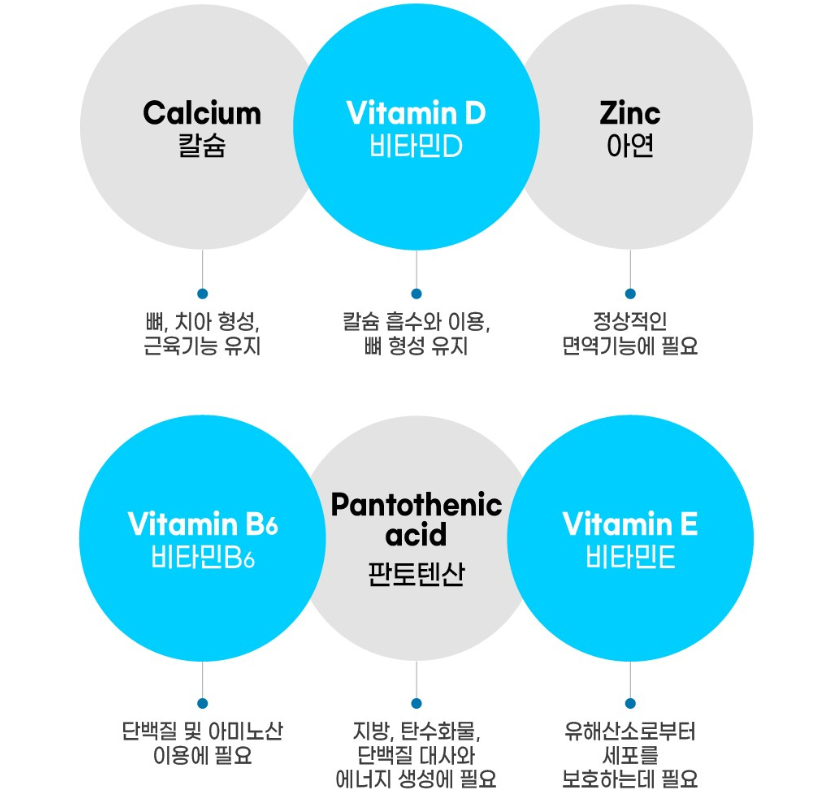 마이밀 프로틴 영양소