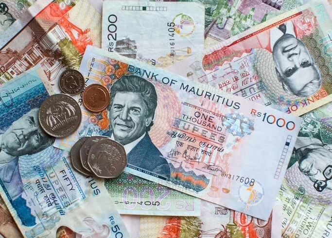 모리셔스 화폐 루피 (MUR)