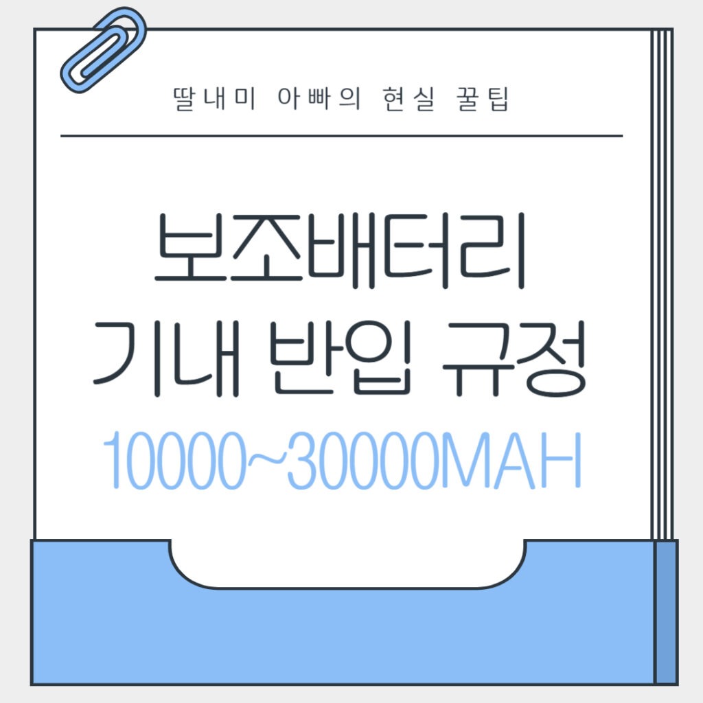 보조배터리 20000 기내