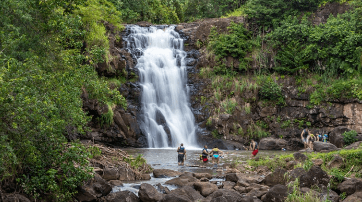 오아후 북쪽 명소 탐방