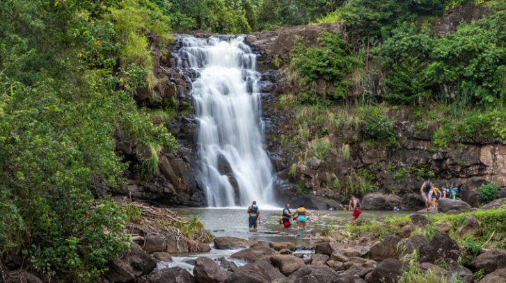 오아후 북쪽 명소 탐방