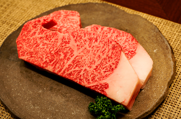 일본 소고기 고베규