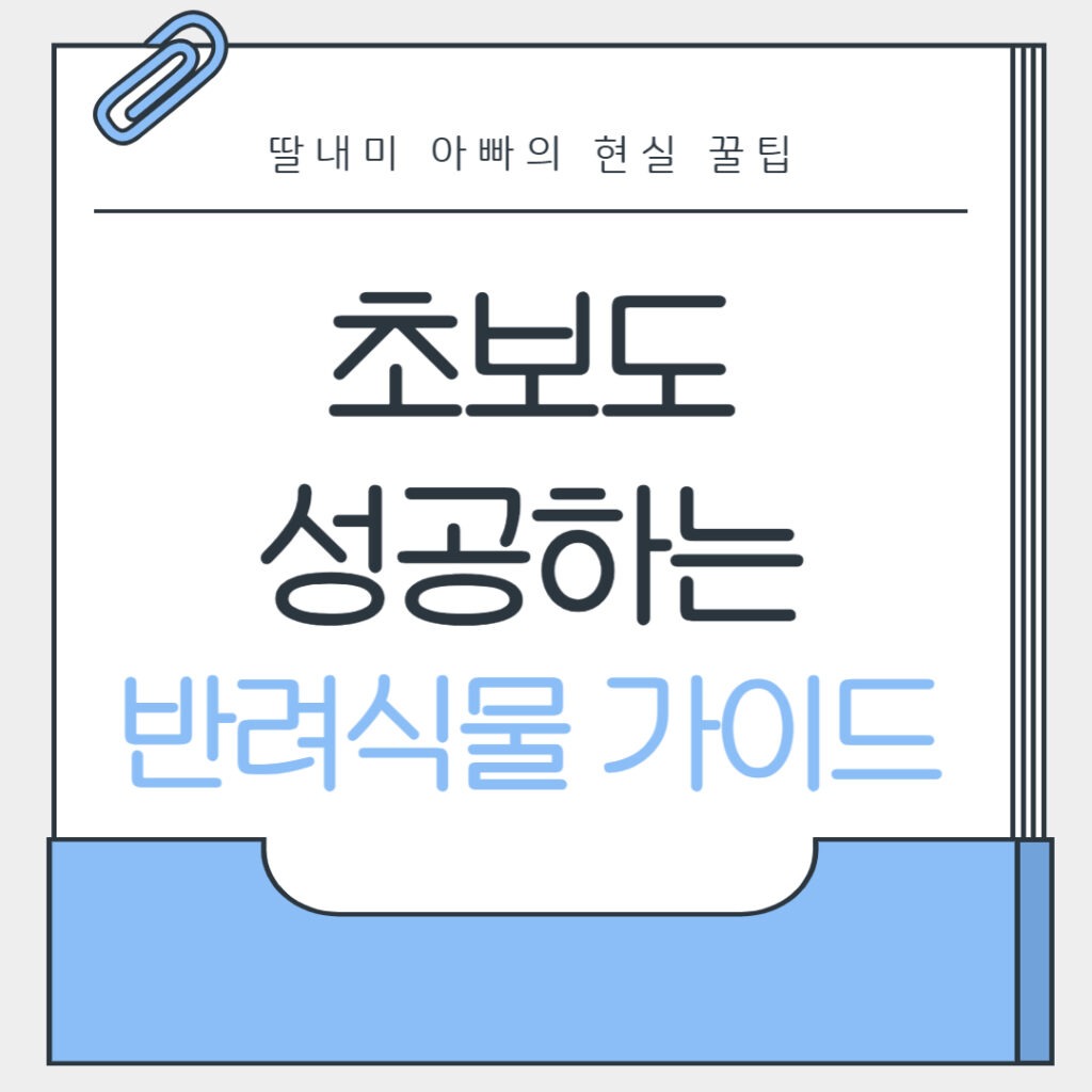 집에서 키우기 좋은 식물