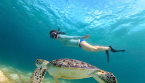 Read more about the article 하와이 가족여행 일정 추천: 5박 7일 알찬 코스 완벽 가이드