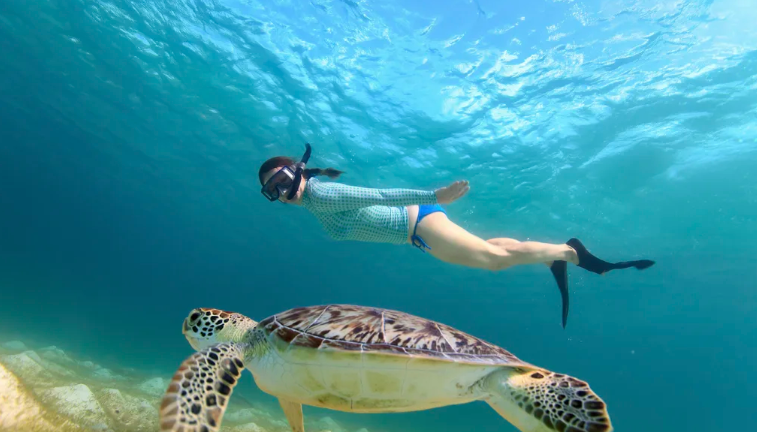 하와이 액티비티