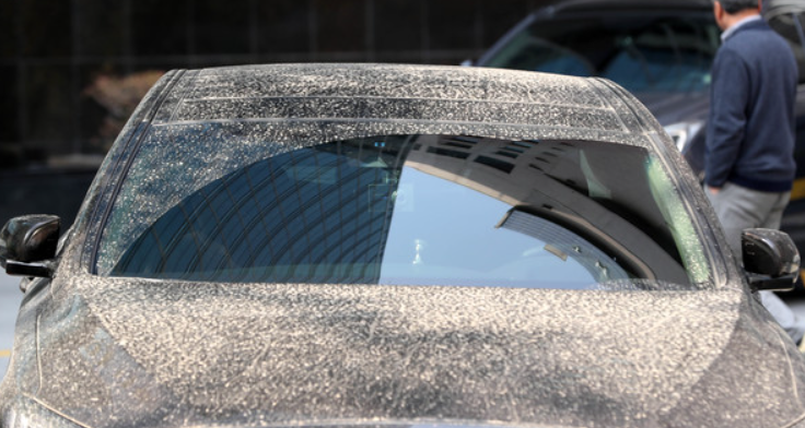 흙먼지로 뒤덮힌 차량