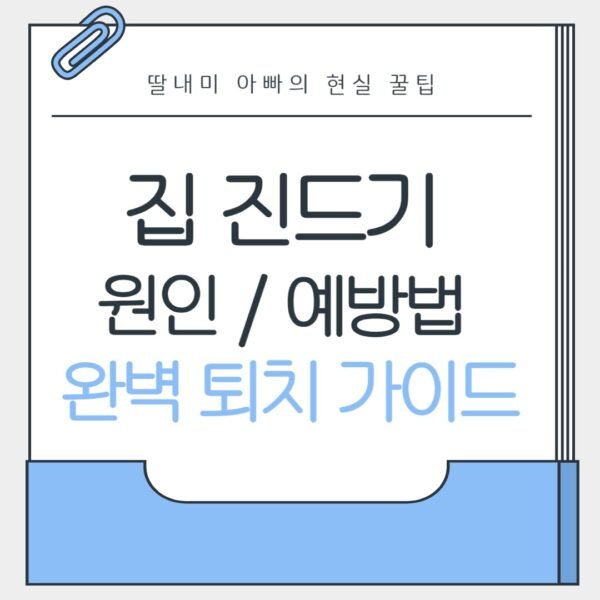 집 진드기 완벽 퇴치 가이드
