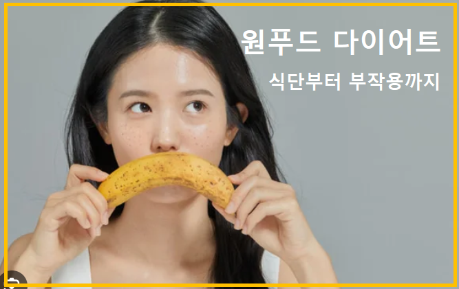 원푸드 다이어트