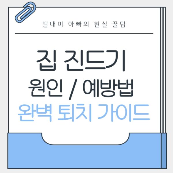 집 진드기 완벽 퇴치 가이드