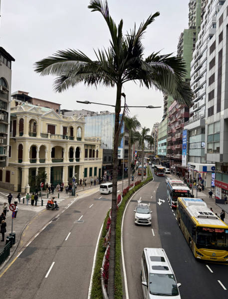 세나도 광장 가는 길