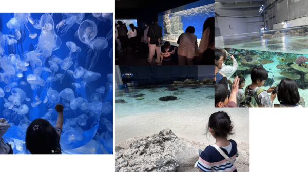 Aqualive 수족관