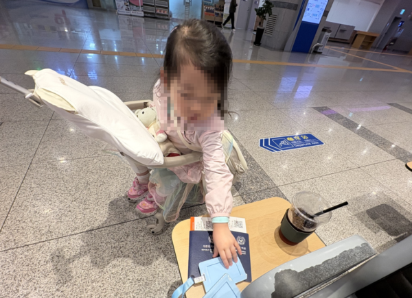 베로로 캐리어 (베로로 트라이크 캐리어) 추천