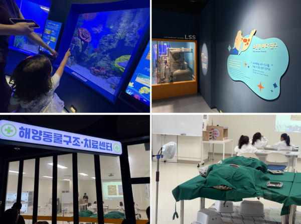 시흥 해양생태과학관 내부