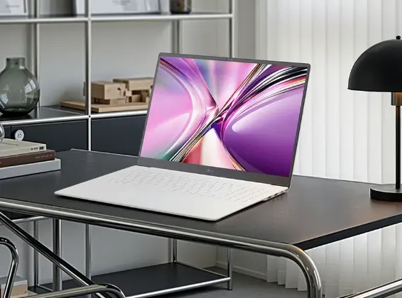LG 그램 프로 16 16Z95U-GS5WK
