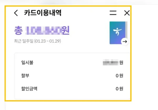 스마트폰으로 카드 결제 내역과 바우처 잔액을 확인하는 모습