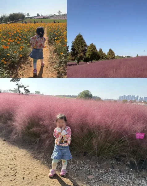 안성 팜랜드 승마체험, 6살 딸과 10월에 다녀온 후기_핑크뮬리