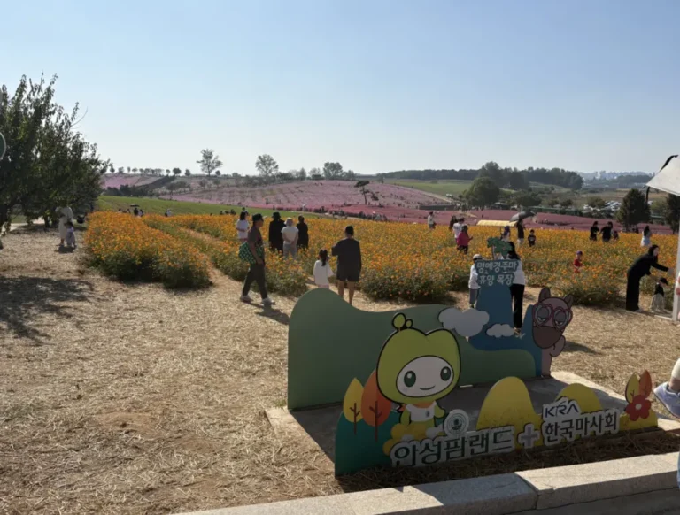 안성 팜랜드 승마체험, 6살 딸과 10월에 다녀온 후기