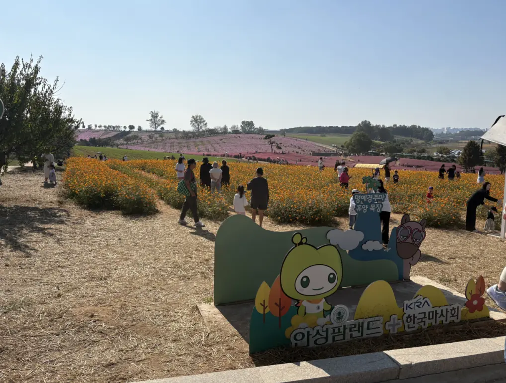 안성 팜랜드 승마체험, 6살 딸과 10월에 다녀온 후기